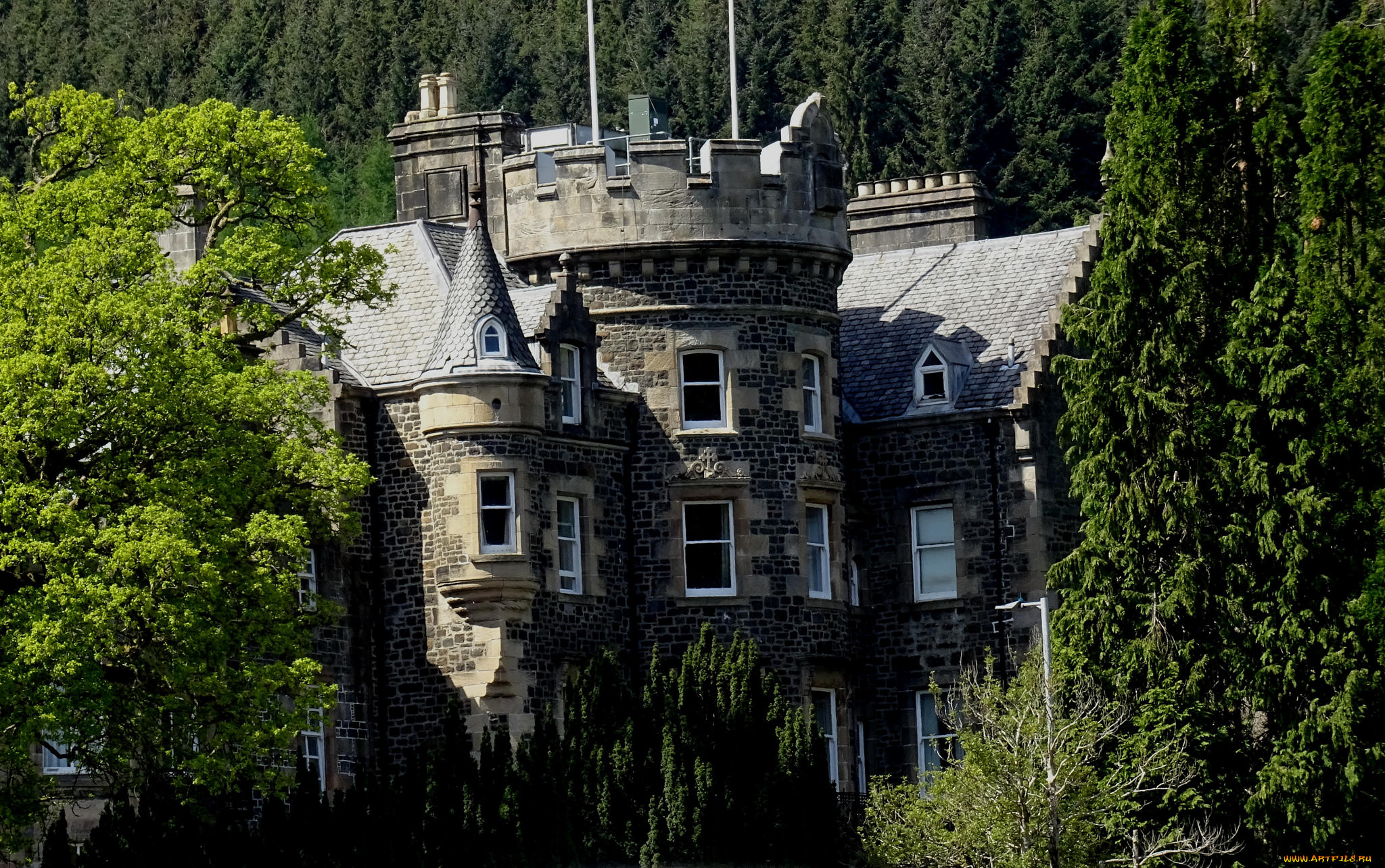 loch lomond castle, , - ,  ,  , 
